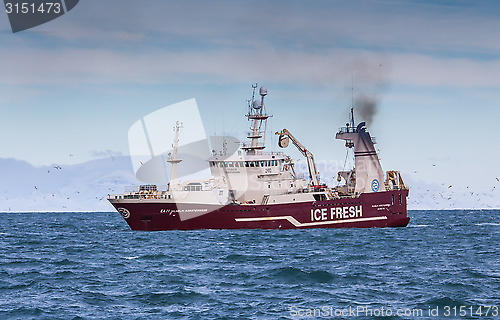 Image of Pelagic Fishing Vessel