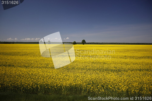 Image of EUROPE LITHUANIA