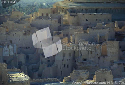 Image of AFRICA EGYPT SAHARA SIWA