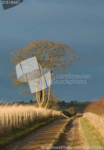 Image of Afternoon Sun and Cloud