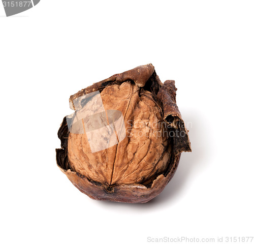Image of Crude walnut on white background