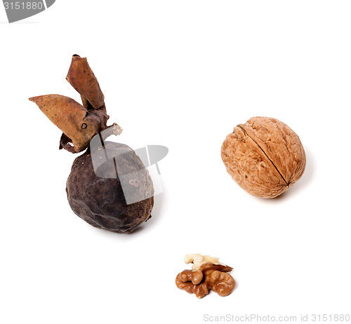 Image of Walnuts