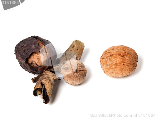 Image of Three walnuts on white background