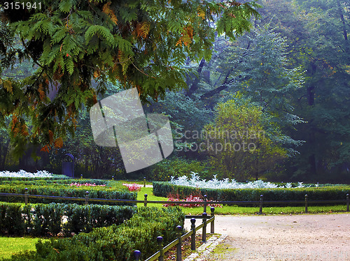 Image of Autumnal trees  