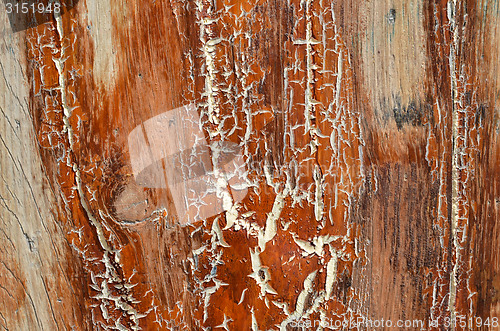 Image of Cracked wooden surface