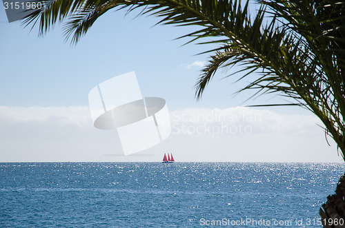 Image of Yacht in tropical water
