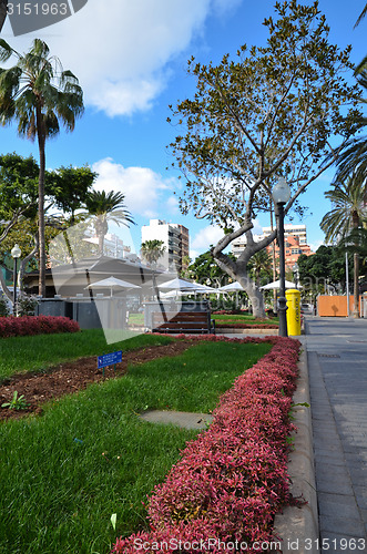 Image of Colorful flowers in Parque Santa Catalina, Las Palmas, Spain