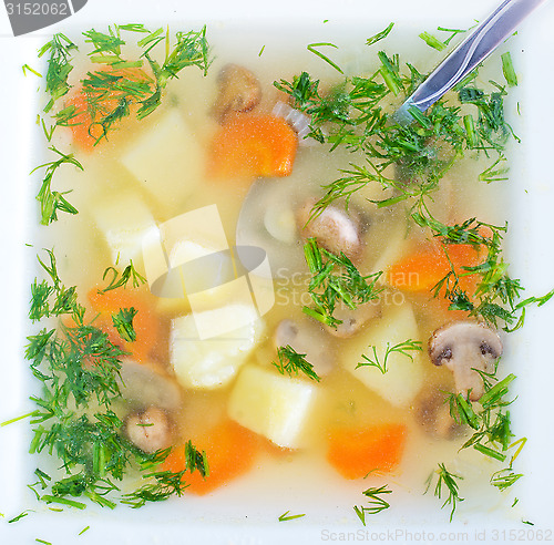 Image of fresh mushroom soup