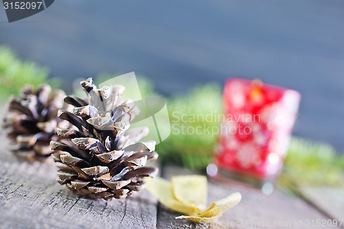 Image of pinecones