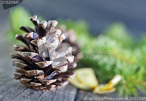 Image of pinecones