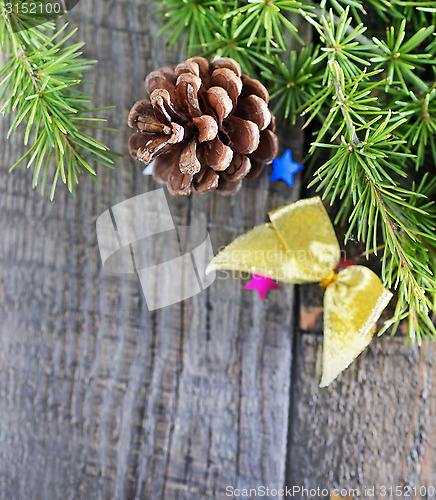 Image of pinecones