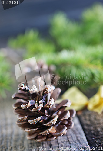 Image of pinecones