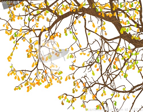 Image of Branches