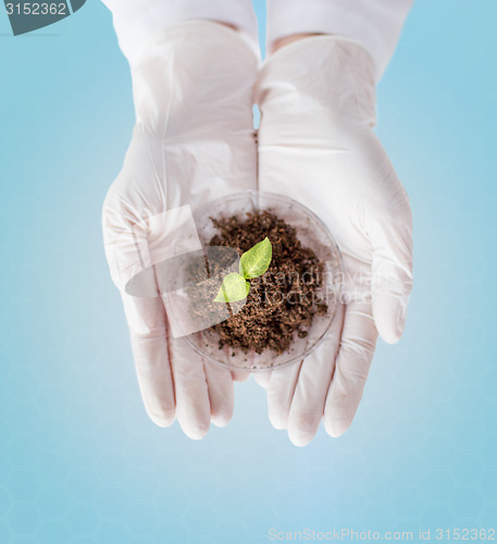 Image of close up of scientist hands with plant and soil