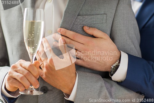 Image of close up of male gay couple with champagne glass