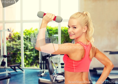 Image of young sporty woman with light dumbbell