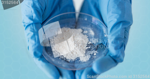 Image of close up of scientist hands holding petri dish