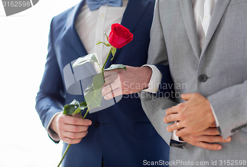 Image of close up of happy male gay couple holding hands