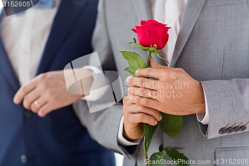 Image of close up of happy male gay couple holding hands