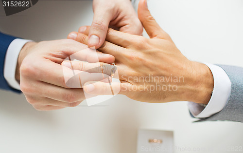 Image of close up of male gay couple hands and wedding ring