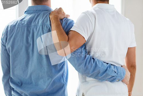 Image of close up of happy male gay couple hugging