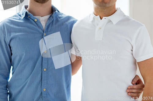 Image of close up of happy male gay couple hugging