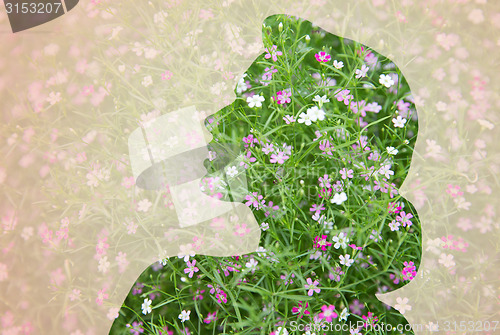 Image of woman silhouette with green floral pattern