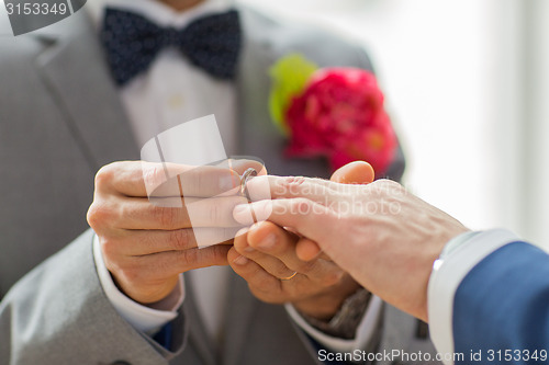 Image of close up of male gay couple hands and wedding ring