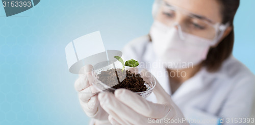 Image of close up of scientist with plant and soil