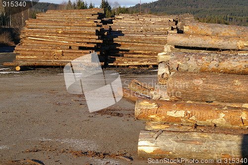 Image of Lumber