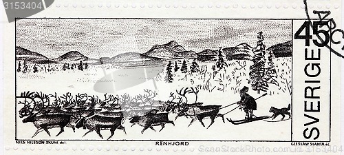 Image of Reindeer Herd