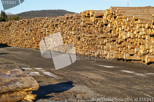 Image of Log piles