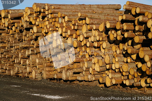 Image of Log piles