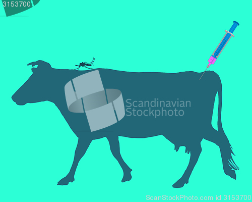 Image of Cow gets an immunization against a disease of mosquito bites