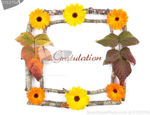 Image of Wooden frame with calendula