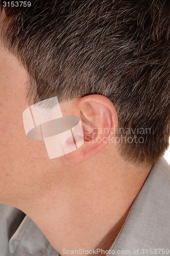Image of The ear of a young man.