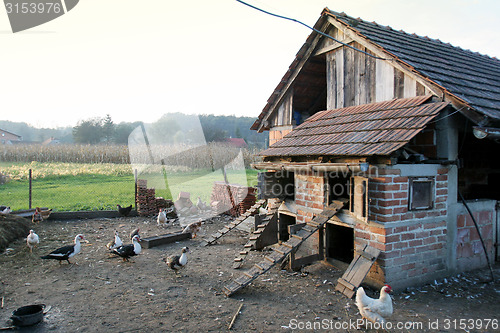 Image of Hen house