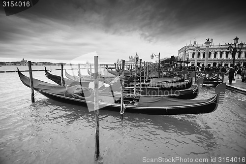 Image of Gondolas in front of Riva degli Schiavoni bw