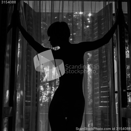 Image of Outlines of a beautiful woman standing by door