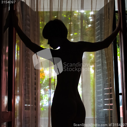 Image of Outlines of a beautiful woman standing by door