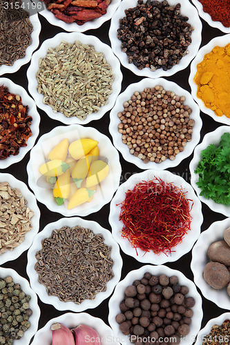 Image of Herbs and Spices