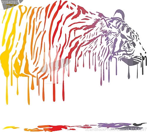 Image of Tiger, Abstract Color Painting On A White Background