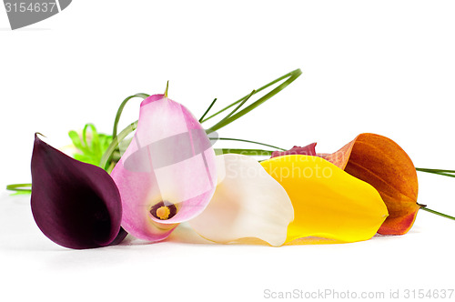 Image of Bouquet of multicolored calla lily