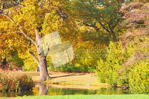 Image of Sunny path in park