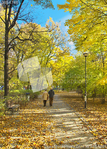 Image of Sunny path in park