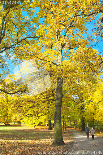 Image of Sunny path in park