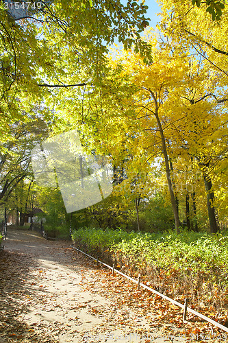 Image of Sunny path in park