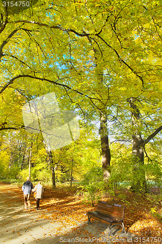 Image of Sunny path in park