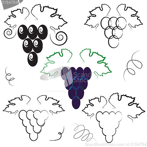 Image of grapes