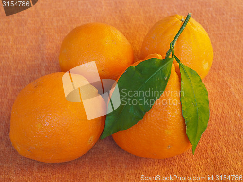 Image of Orange fruit